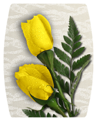 DAREC-059 2 Roses Yellow